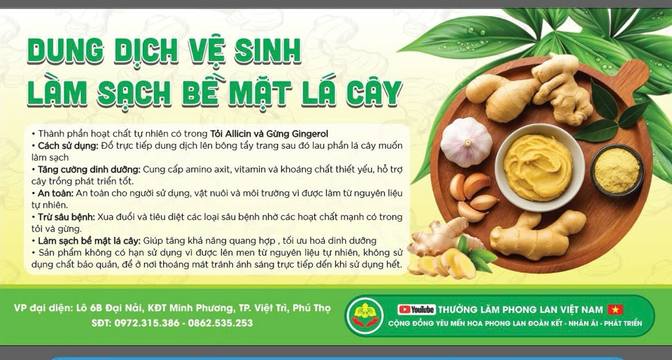 Dung dịch vệ sinh làm sạch bề mặt lá cây chai 200ml [Mua 2 chai tặng bông tẩy trang]-duoc-ban-tai-THƯỞNG LÃM PHONG LAN VIỆT NAM