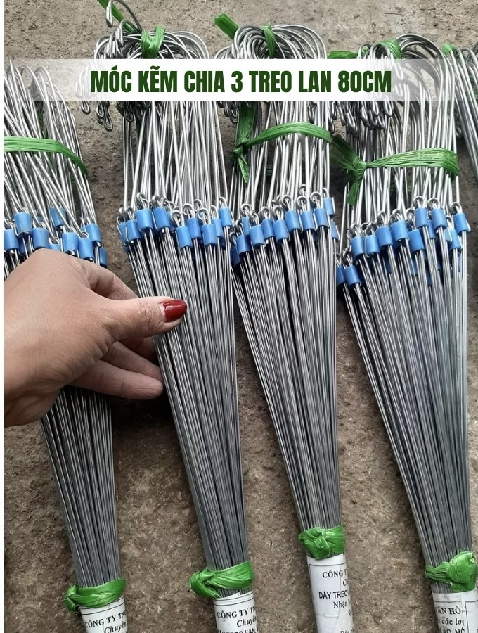 Móc treo 3 chân INOX 80cm-duoc-ban-tai-THƯỞNG LÃM PHONG LAN VIỆT NAM