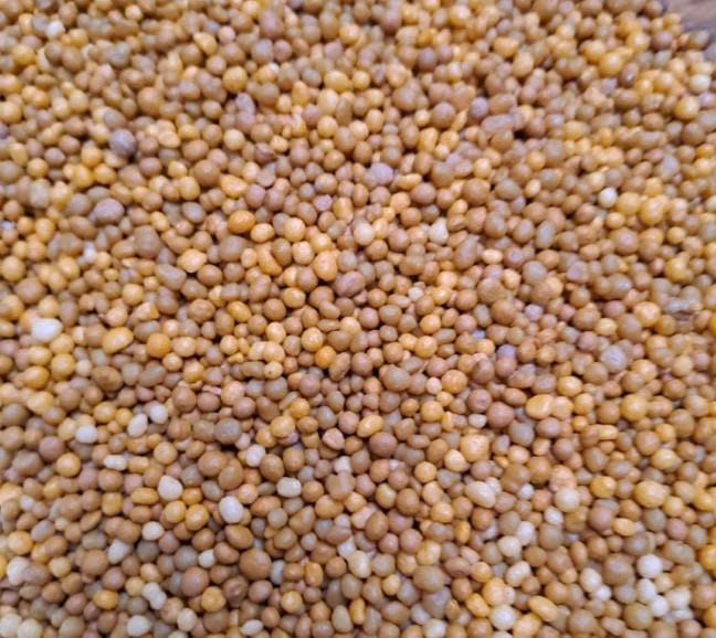 Phân Tan chậm thông minh: 16-16-16 TE+ Thái Lan  (Túi tiện lợi 20 bịch đóng sẵn)-duoc-ban-tai-THƯỞNG LÃM PHONG LAN VIỆT NAM