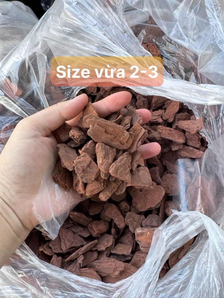 vỎ THÔNG ĐỦ SIZE ĐÃ XỬ LÝ - 10kg free ship-duoc-ban-tai-THƯỞNG LÃM PHONG LAN VIỆT NAM