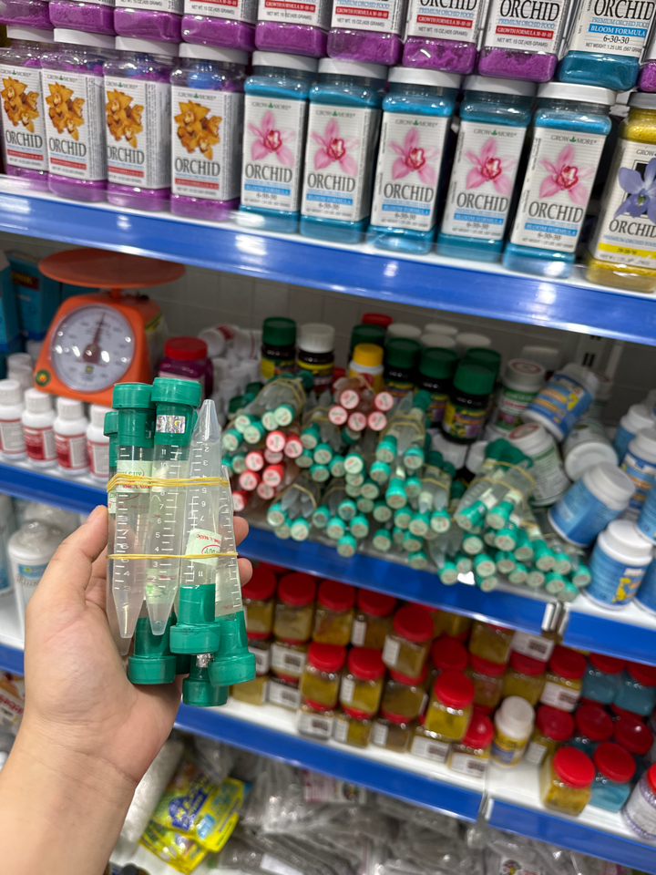 Duy xanh-duoc-ban-tai-THƯỞNG LÃM PHONG LAN VIỆT NAM