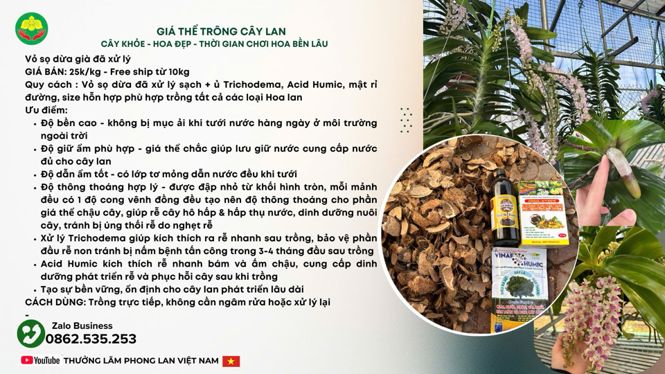 [Free ship 10kg] - Giá thể sọ dừa già - size tổng hợp đã xử lý Trichodema-duoc-ban-tai-THƯỞNG LÃM PHONG LAN VIỆT NAM