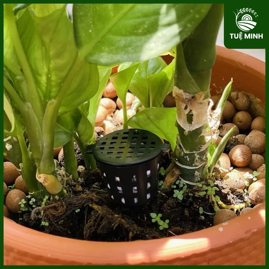 [200 gram] - khoảng100 chiếc Rọ Đựng Phân Tan Chậm, R3xC5cm, Dụng Cụ Làm Vườn, Cắm Chậu, Tiện Lợi, Tiết Kiệm-duoc-ban-tai-THƯỞNG LÃM PHONG LAN VIỆT NAM