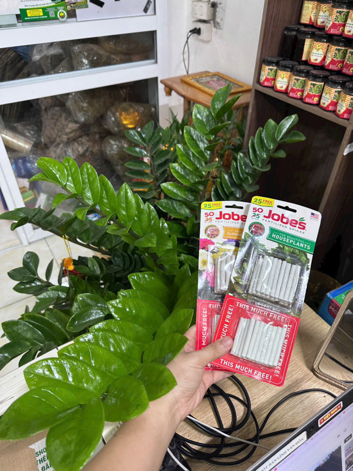 Dinh dưỡng chuyên dụng dành cho cây trong nhà  - phát triển đẹp như ngoài trời  Combo 2 vỉ 100 que:  190k (free ship từ  2 combo)-duoc-ban-tai-THƯỞNG LÃM PHONG LAN VIỆT NAM