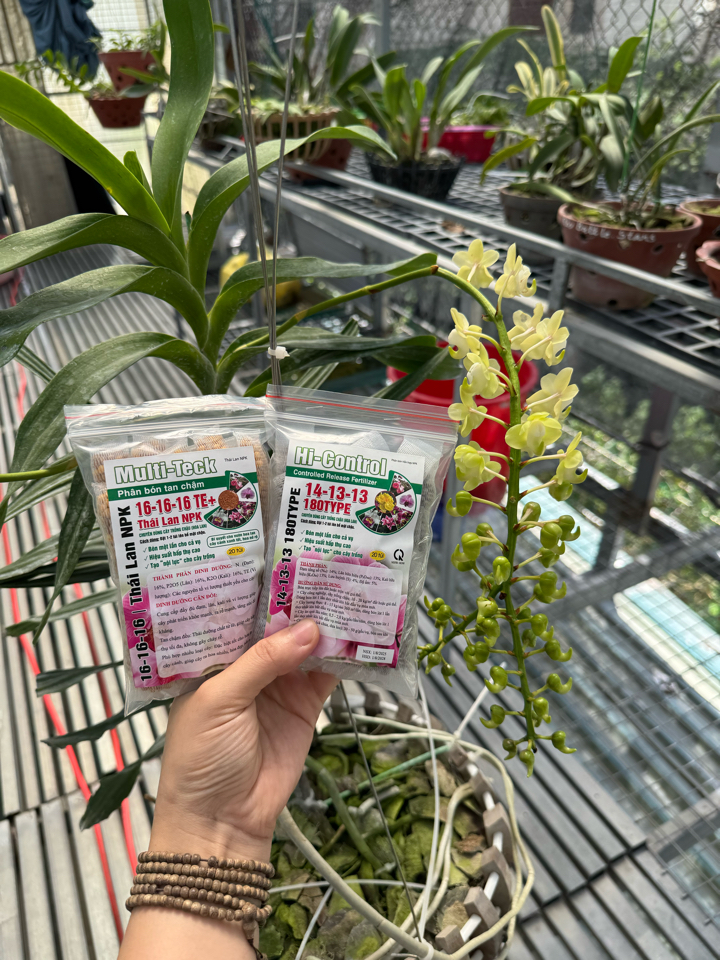 Phân tan chậm thông minh 16-16-16 TE+ Thái Lan - bỏ định kỳ 4 tháng/lần-duoc-ban-tai-THƯỞNG LÃM PHONG LAN VIỆT NAM