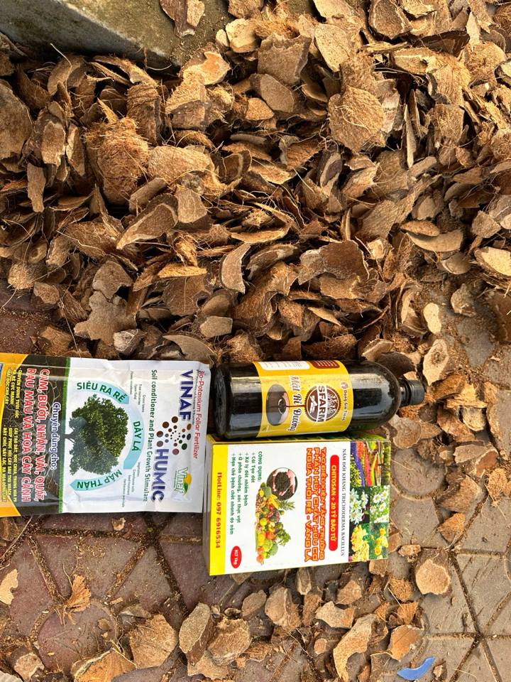 Giá thể sọ dừa già - size tổng hợp đã xử lý Trichodema-duoc-ban-tai-THƯỞNG LÃM PHONG LAN VIỆT NAM