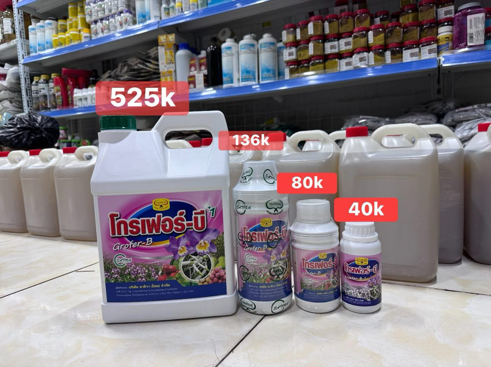 Vitamin B1 Grofer Thái Lan 1L - Phân bón hữu cơ triết xuất thực vật -duoc-ban-tai-THƯỞNG LÃM PHONG LAN VIỆT NAM