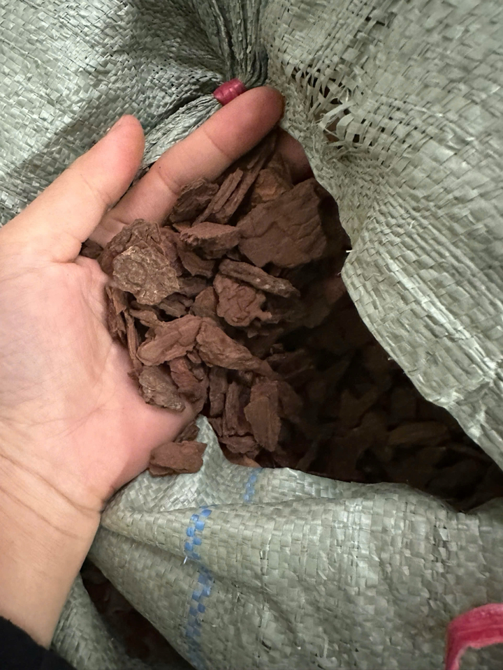 vỎ THÔNG ĐỦ SIZE ĐÃ XỬ LÝ - 10kg free ship-duoc-ban-tai-THƯỞNG LÃM PHONG LAN VIỆT NAM