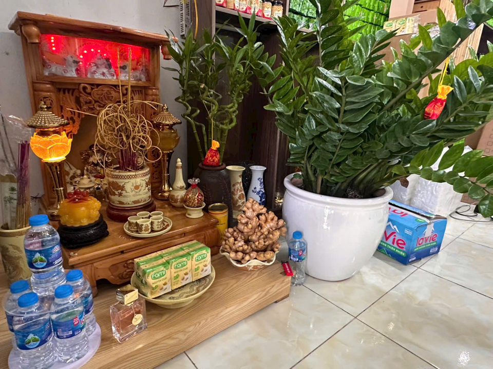 Dinh dưỡng chuyên dụng dành cho cây trong nhà  - phát triển đẹp như ngoài trời  Combo 2 vỉ 100 que:  190k (free ship từ  2 combo)-duoc-ban-tai-THƯỞNG LÃM PHONG LAN VIỆT NAM