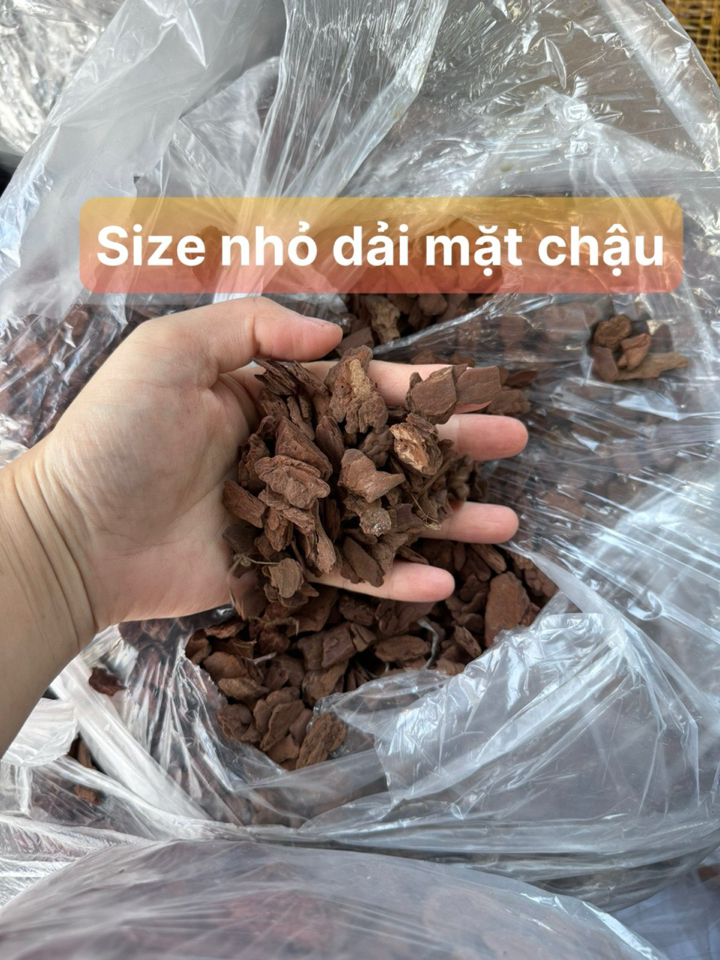 vỎ THÔNG ĐỦ SIZE ĐÃ XỬ LÝ - 10kg free ship-duoc-ban-tai-THƯỞNG LÃM PHONG LAN VIỆT NAM