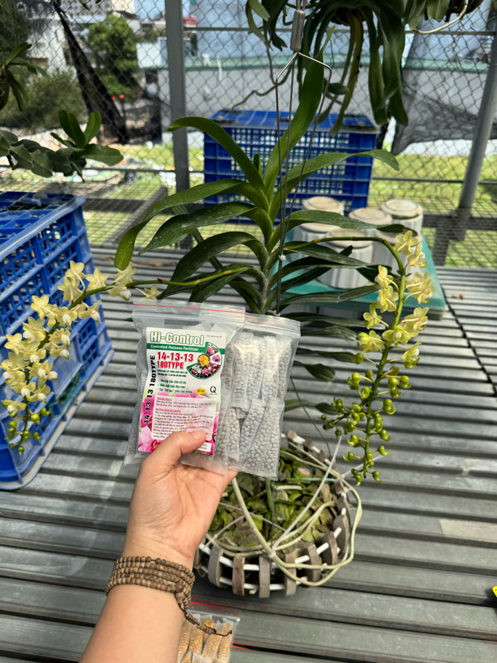 Phân tan chậm thông minh 14-13-13 TE+ Nhật Bản (Túi đóng sẵn 20 bịch)-duoc-ban-tai-THƯỞNG LÃM PHONG LAN VIỆT NAM