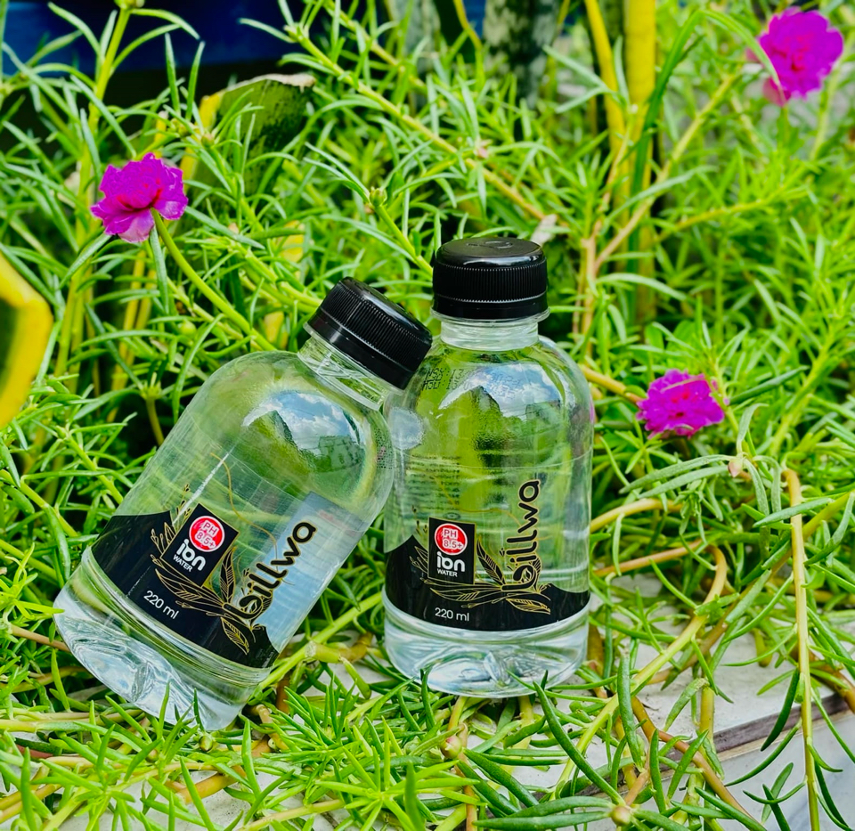 Nước ion Kiềm Billwa 220ml-duoc-ban-tai-Lộc Hòa Trà Quán