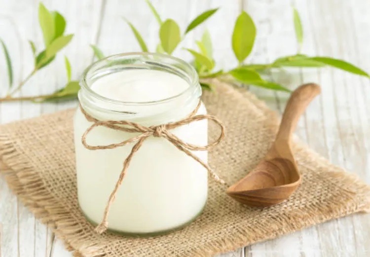 Sữa Chua Truyền Thống-duoc-ban-tai-Lộc Hòa Trà Quán