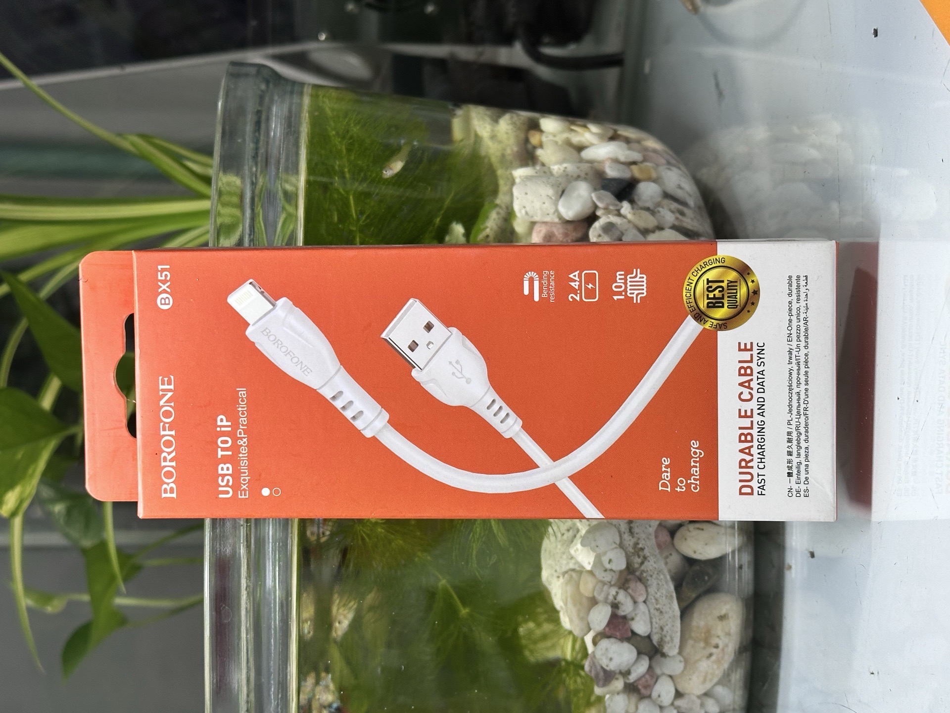 Cáp sạc điện thoại USB to Lightning Borofone Bx51-Trắng-duoc-ban-tai-ĐIỆN THOẠI DI ĐỘNG KHA OANH