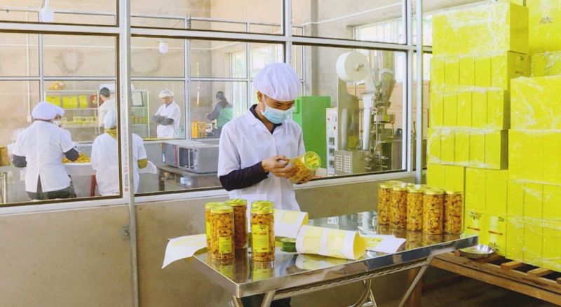 Dịch vụ sơ chế nông sản tại nhà với vốn thấp